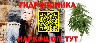 ПСИЛОЦИБИНОВЫЕ ГРИБЫ Сланцы